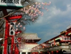 Tokio Putovanja 2024 Japan | Tokio putovanja, turizam  #01